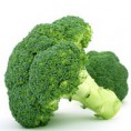 Brokolica Zelená