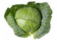 /album/fotogaleria/cabbage-jpg/