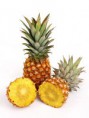 /album/fotogaleria/pineapple3-jpg/